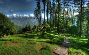 Best Hill Stations in Uttarakhand, Dhanaulti