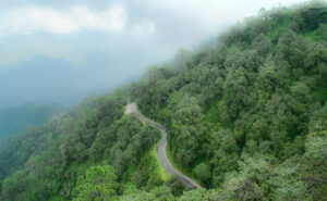 Best Hill Stations in Uttarakhand, Lansdowne